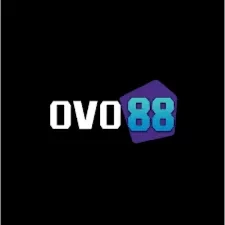 Update Aplikasi ovo88 ke Versi Terbaru